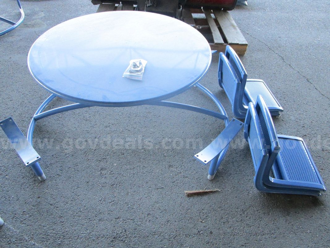 Blue Picnic Table (D)