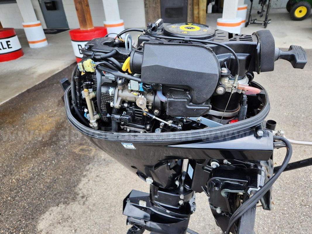 20 HP EFI Four Stroke