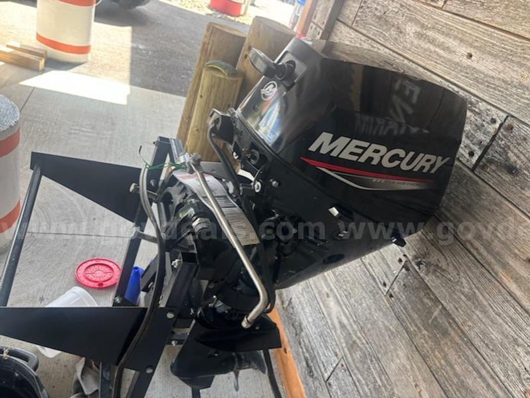 20 HP EFI FourStroke