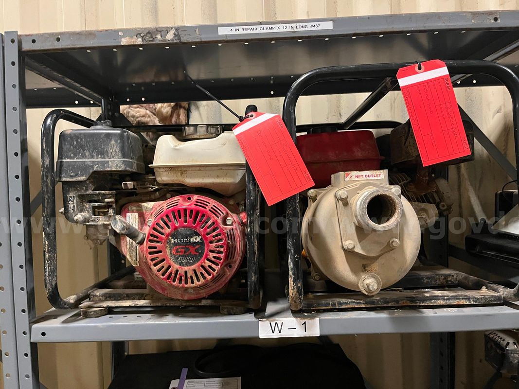 2" PUMPS