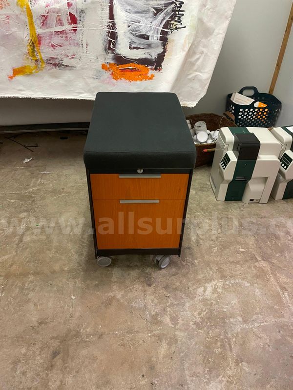 (12) each Portable locking filing cabinet with seating cushion