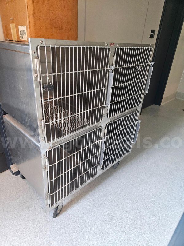 Stainless Steel Cages (set of 4)