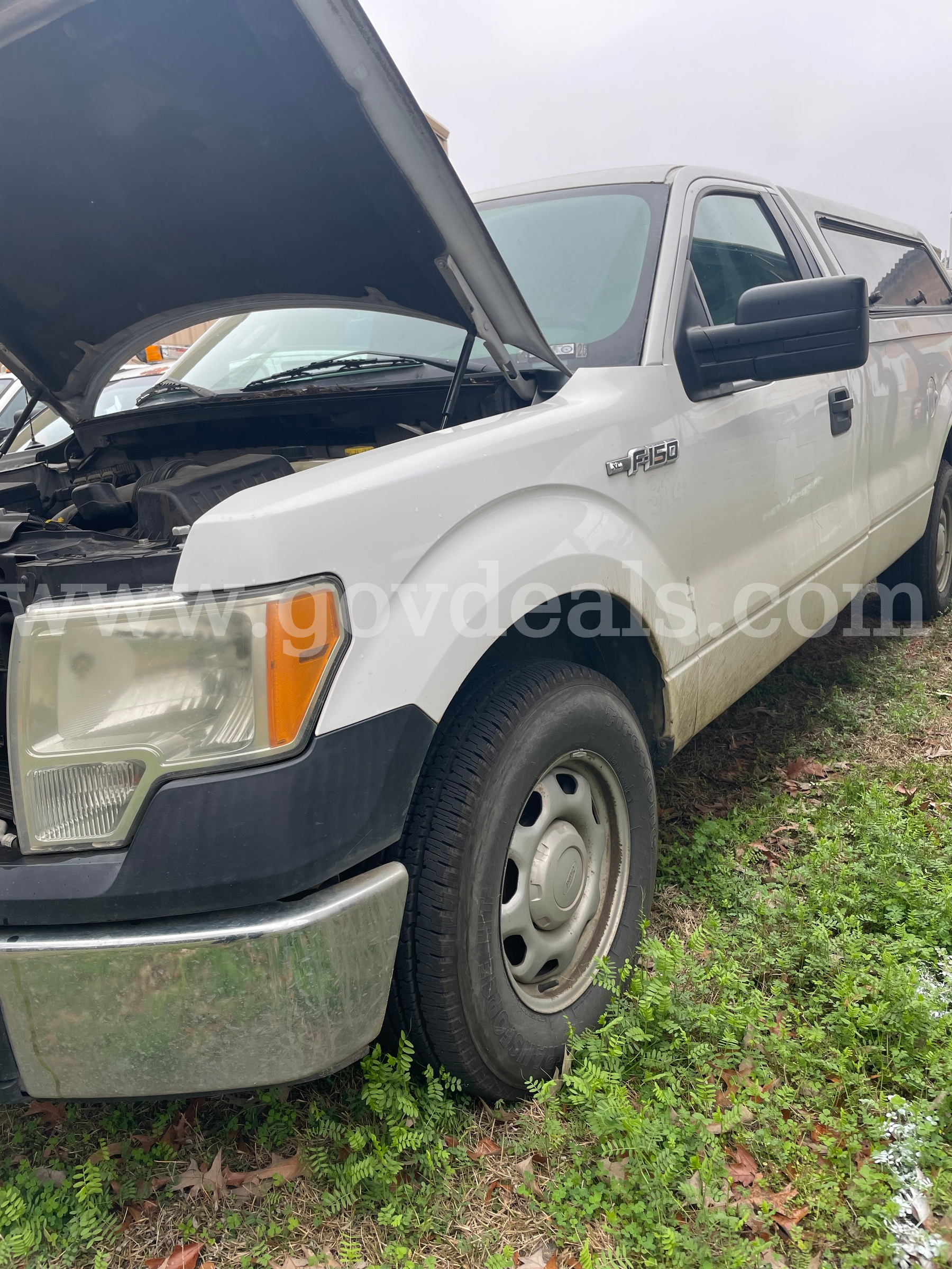 2014 Ford F-150 REGULAR CAB PICKUP 2-DR, 5.0L V8 OHV 16V