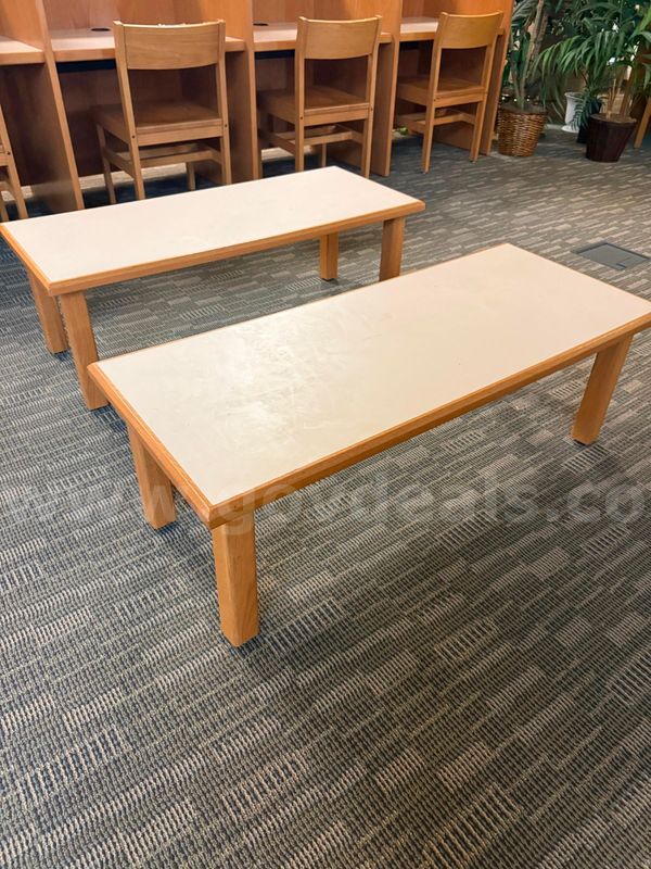 Set of 2 Library Coffee Tables