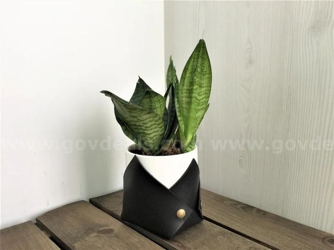 Brand New - 5 PCS - Handmade Leather Plant Pot Holder, Minimalist Decor, Black, Medium - Shipping Available