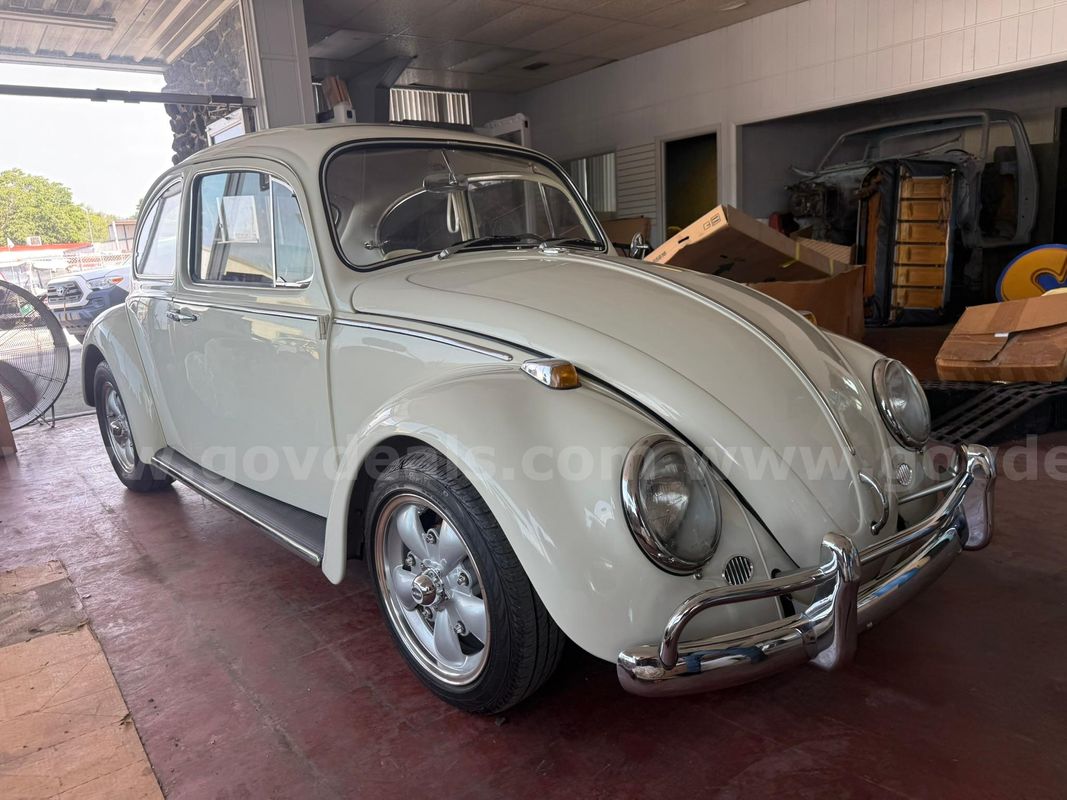 1966 Volkswagen Beetle