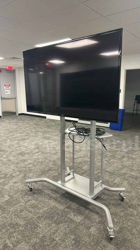 Samsung, 60-inch, Full HD (1080p) LED TV on rolling stand