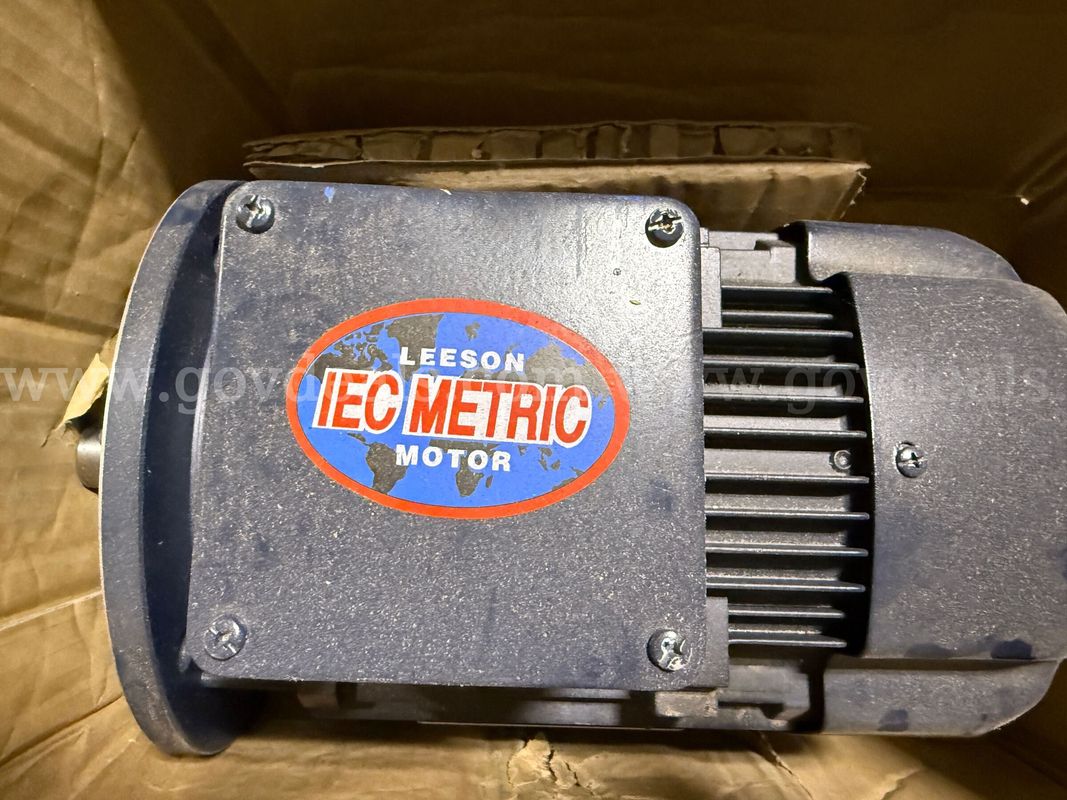 Leeson IEC Metric Motor