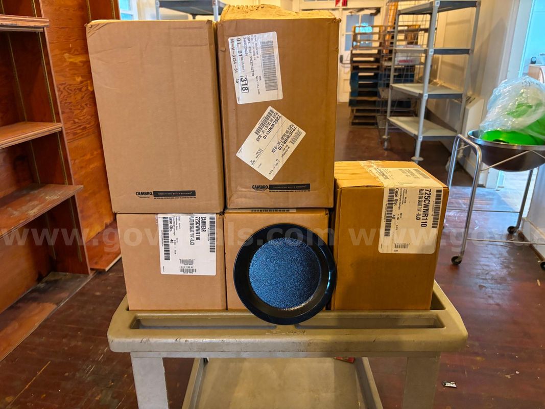 Lot of New Salad Plates