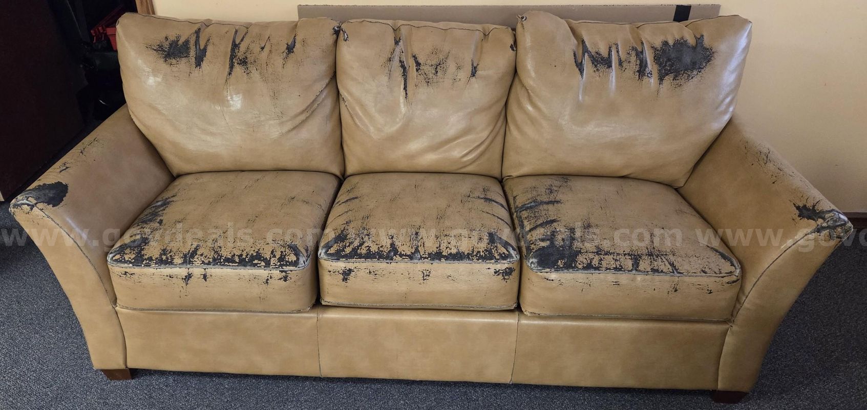 Beige/Tan Couches