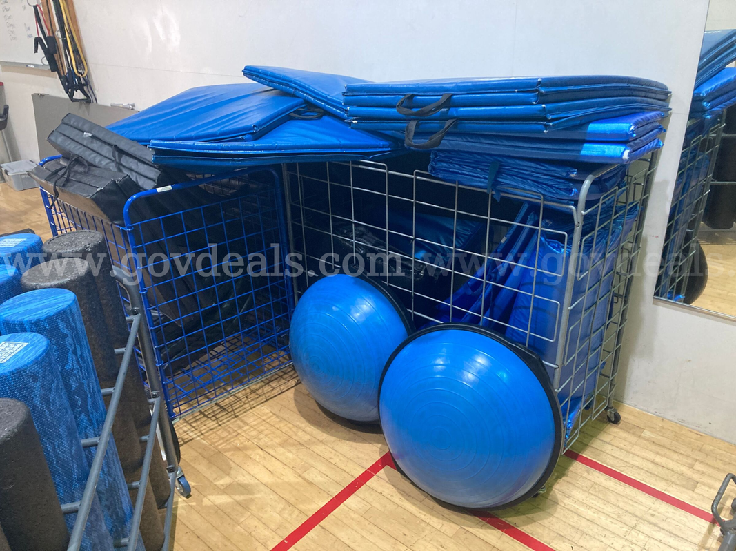 Lot of Max Fit Tumbling Mats