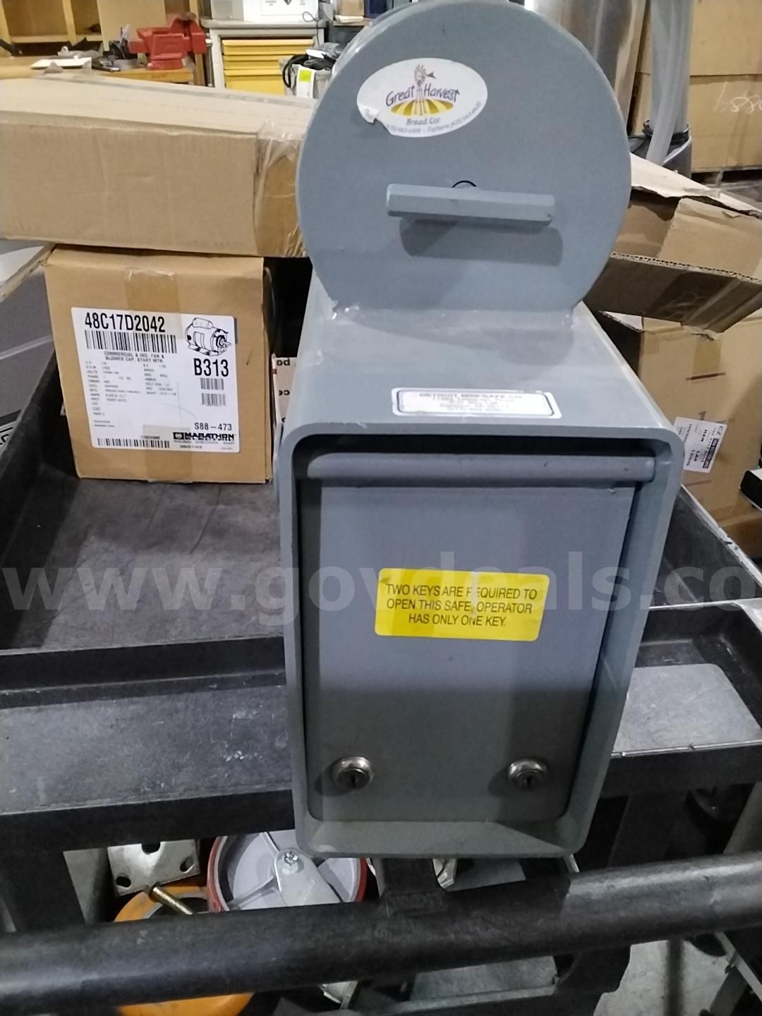 Detroit Mini Safe