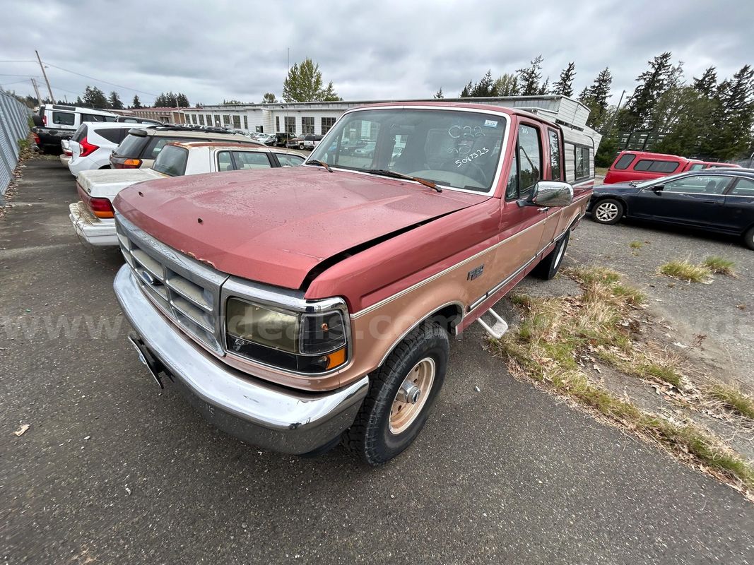 Two-tone 1994 Ford F-150
