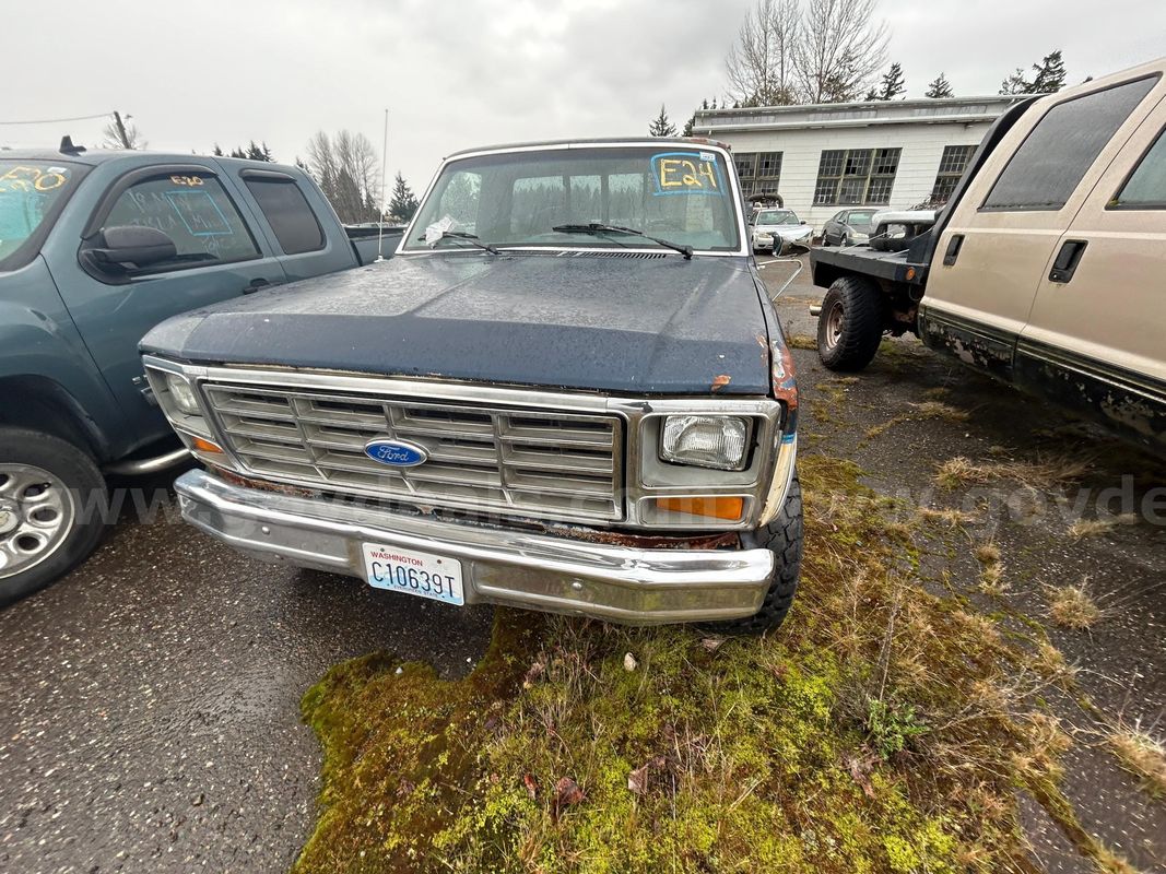 Blue/White 1986 Ford F-150