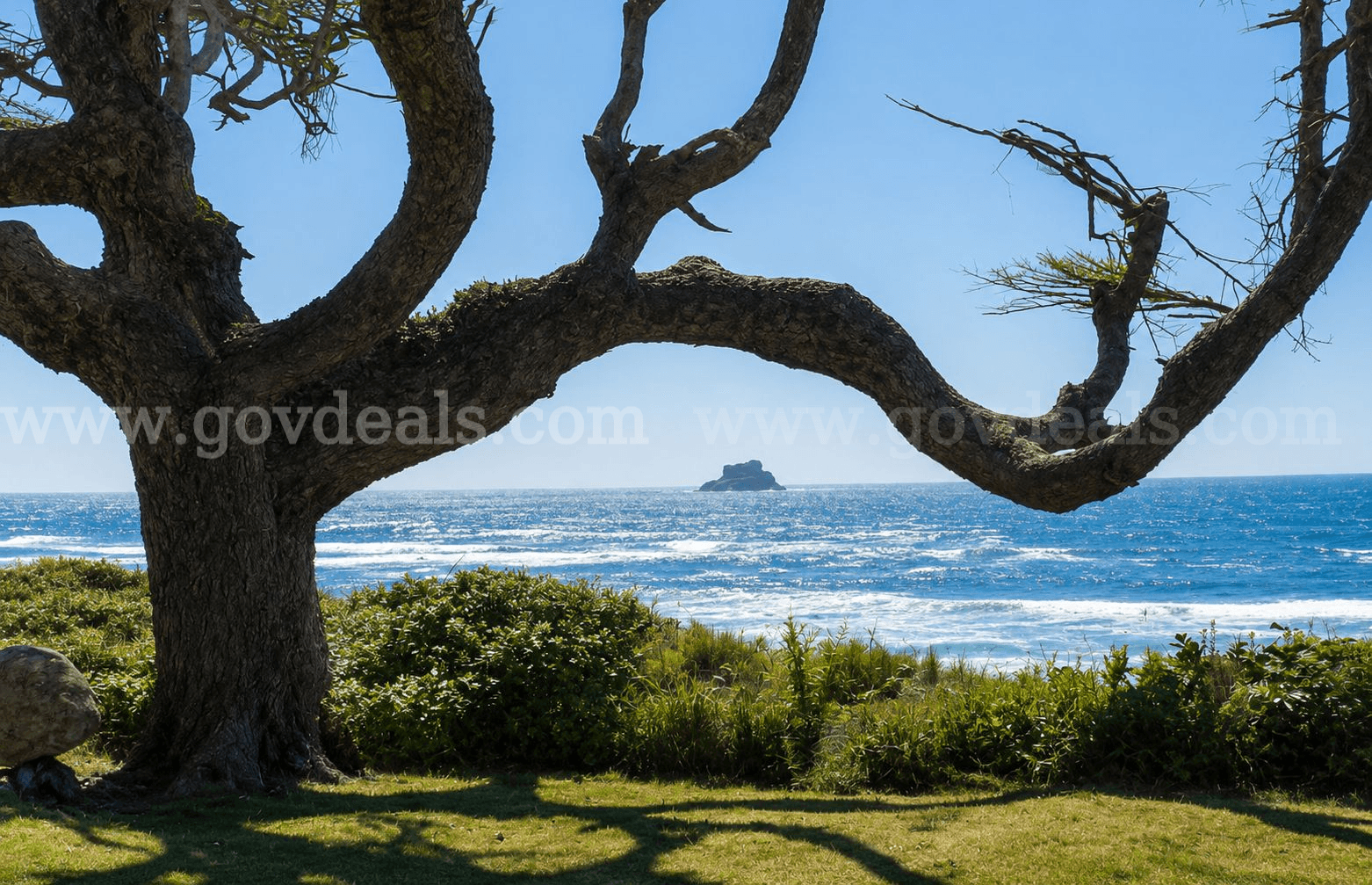 0.23 Acres Residential Forestland Arch Cape, OR (AC-RCR)