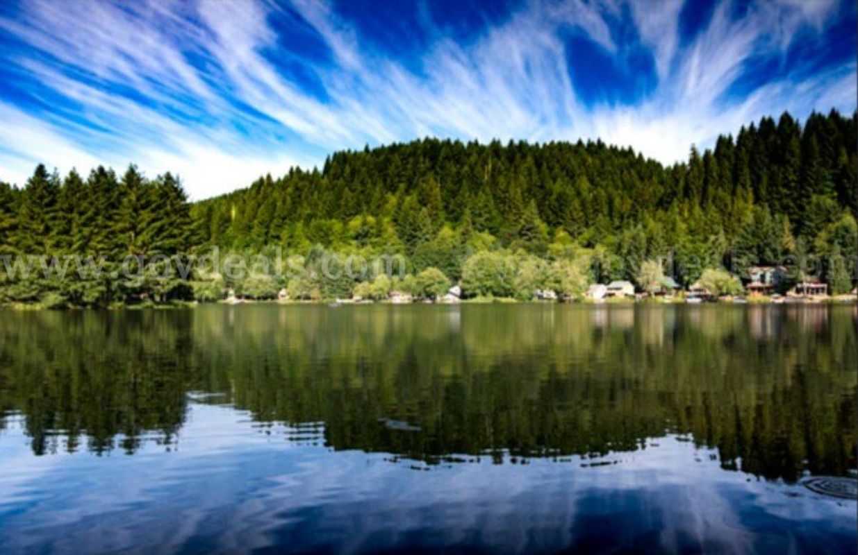 Fishhawk Lake, OR Forest Retreat – Quarter-Acre Parcel (RSA SFR)