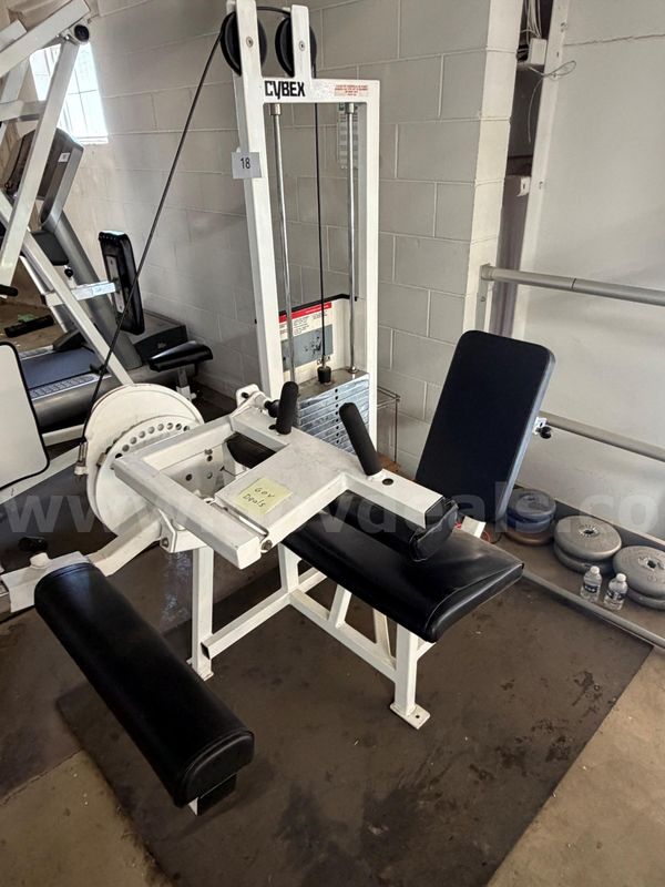 Cybex Seated Leg Curl Machine