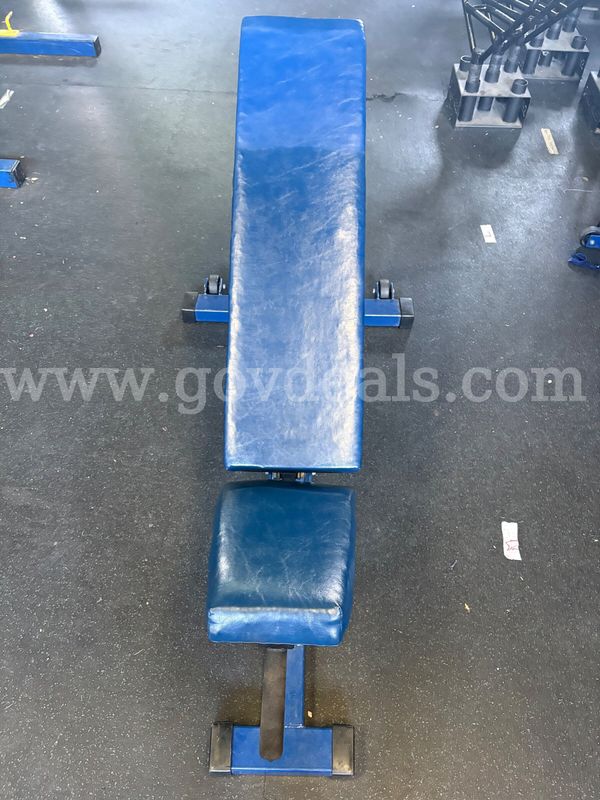 Dyna Body Bench