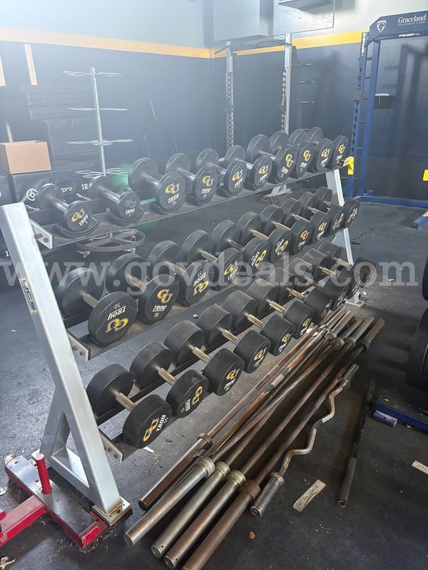 Troy Dumbell Set