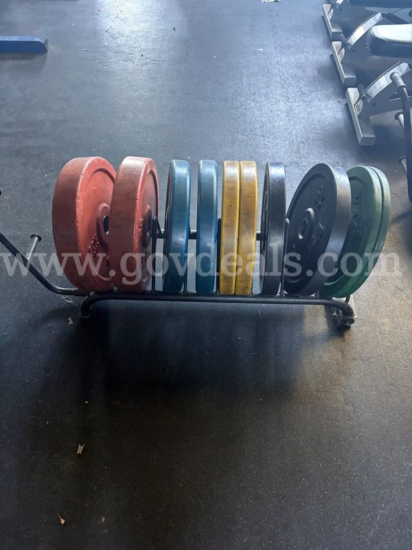 VTX Bumper Plates
