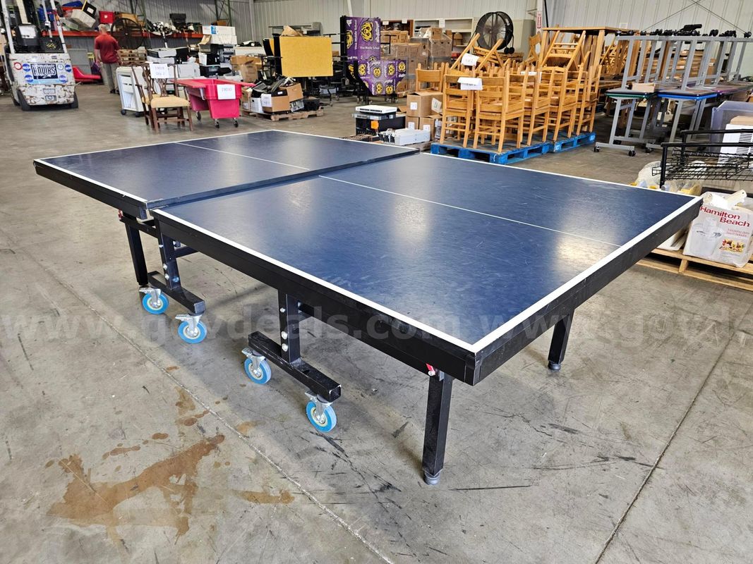 Ping Pong Table (No Accessories)