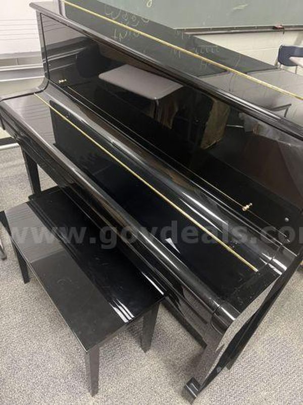Steinway Piano (217658 DC)