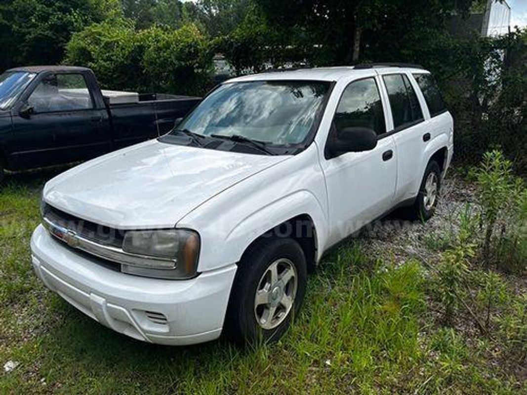 2006 Chevrolet TrailBlazer (222447 NB)