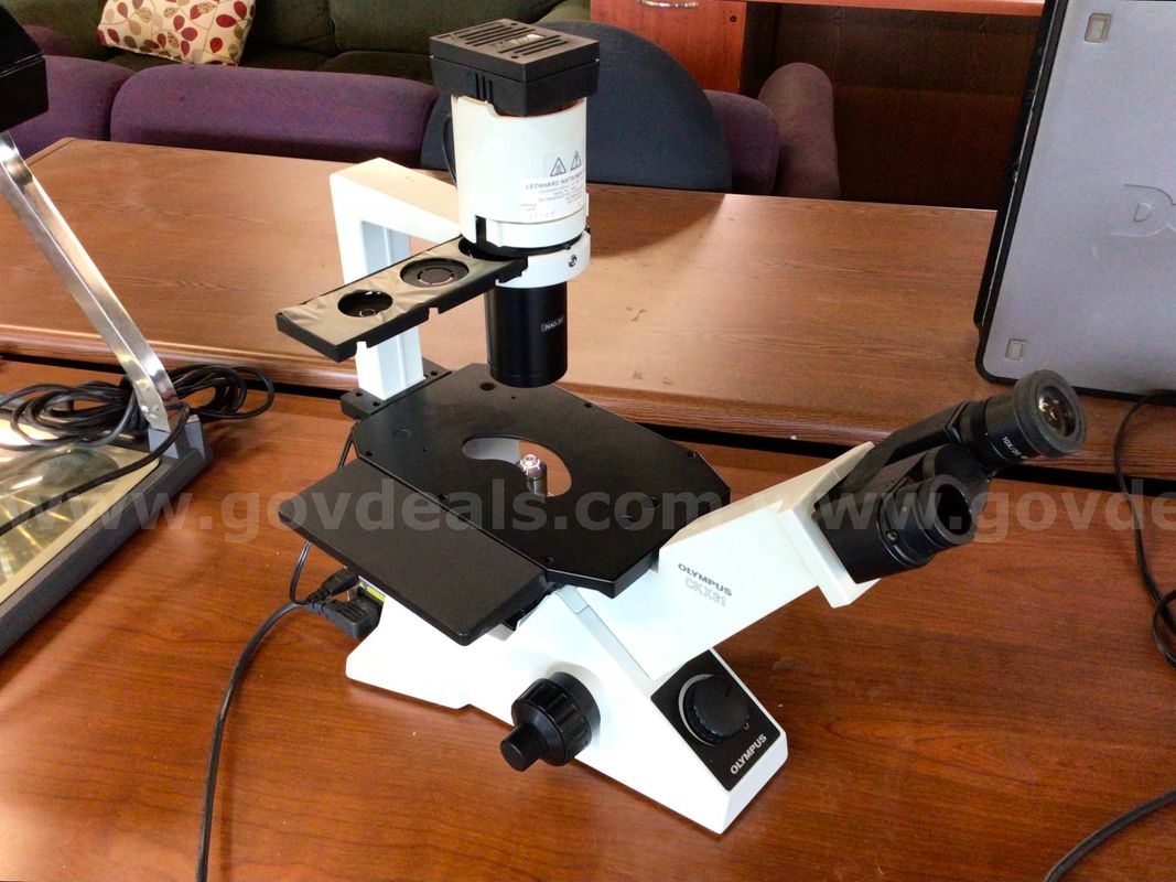 Olympus CKX31 SF Microscope