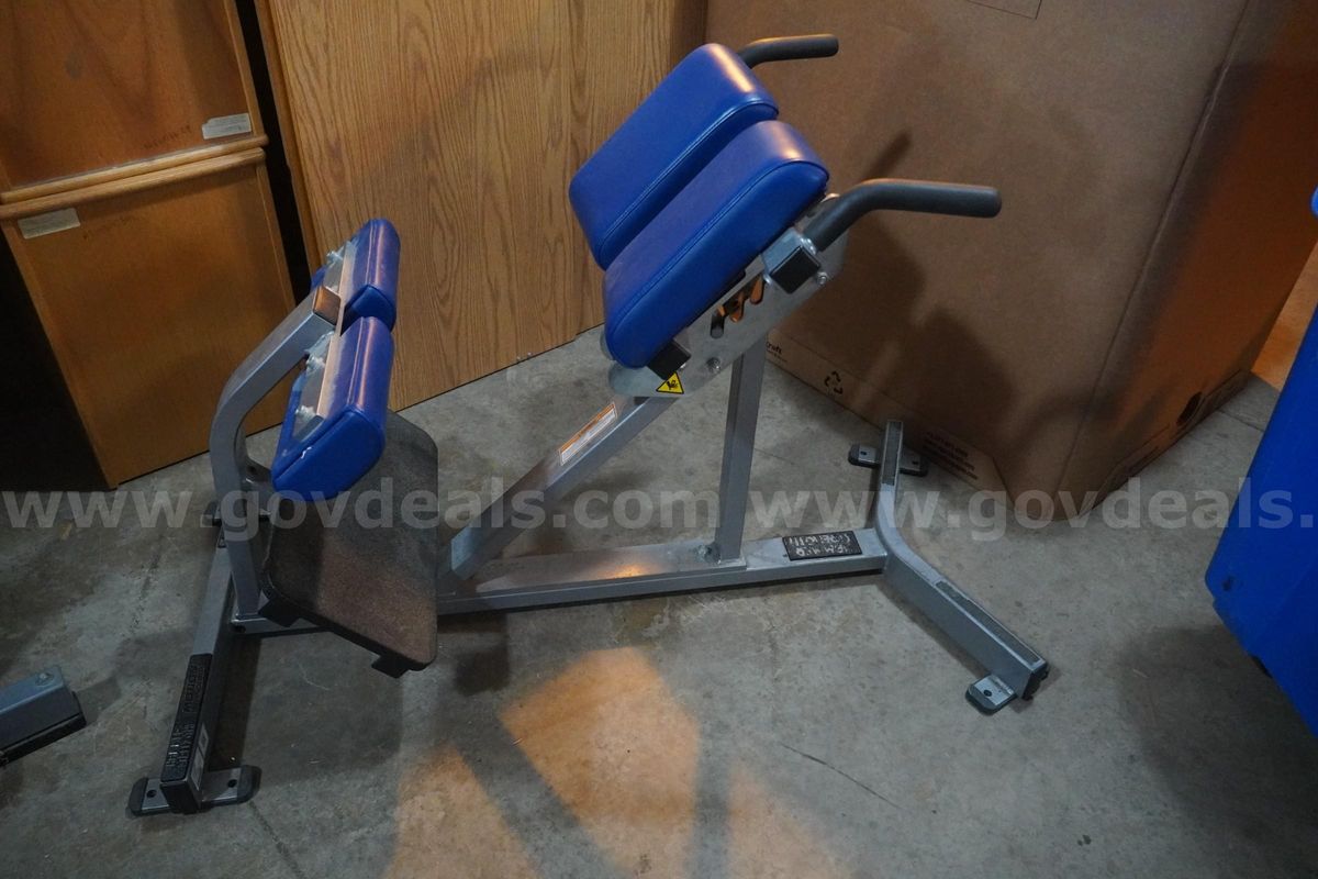 Hammer Strength Back Extension Weight Bench