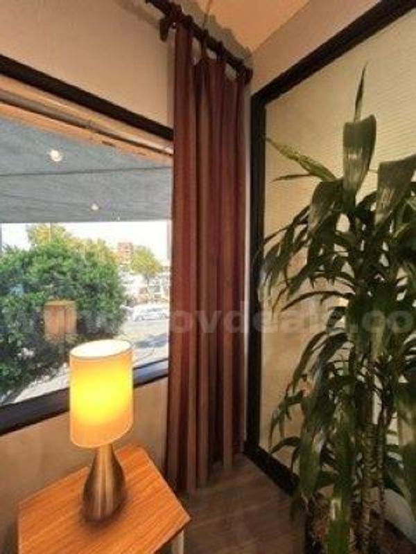 2 Curtain Panels 52" wide x 96", Burgundy & Gold