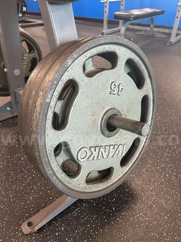 Ivanko 45lb Metal Plates (Quantity 8)