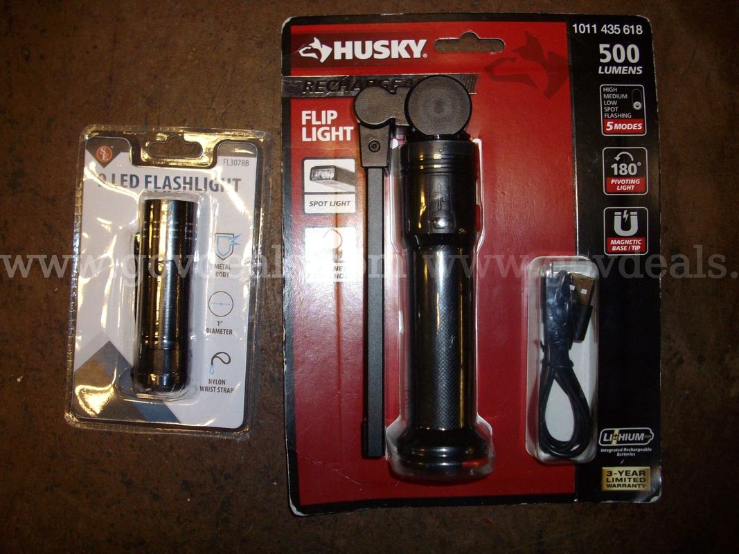 FLASHLIGHTS (GD4277)