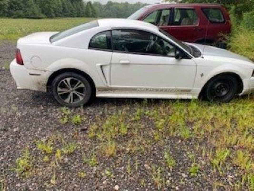 2000 Ford Mustang