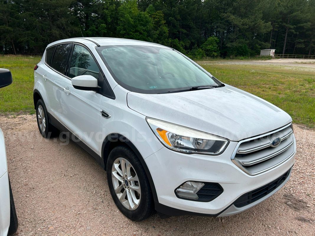 2019 Ford Escape