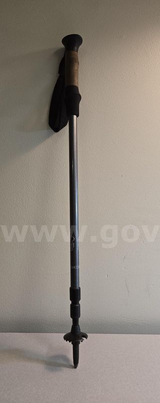 Trekking Pole (Juneau, AK)
