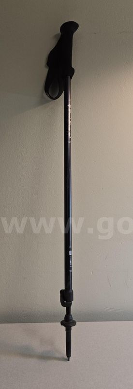 Black Diamond Trekking Pole (Juneau, AK)