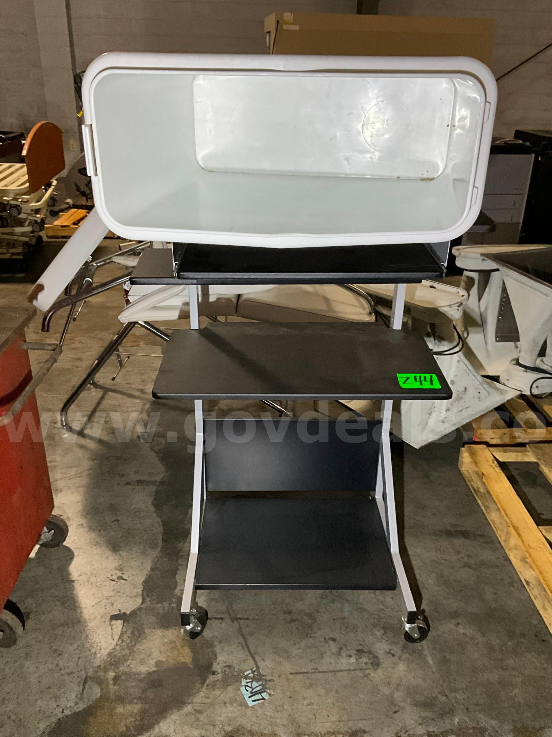Rolling Shelf & Container (2 pcs)