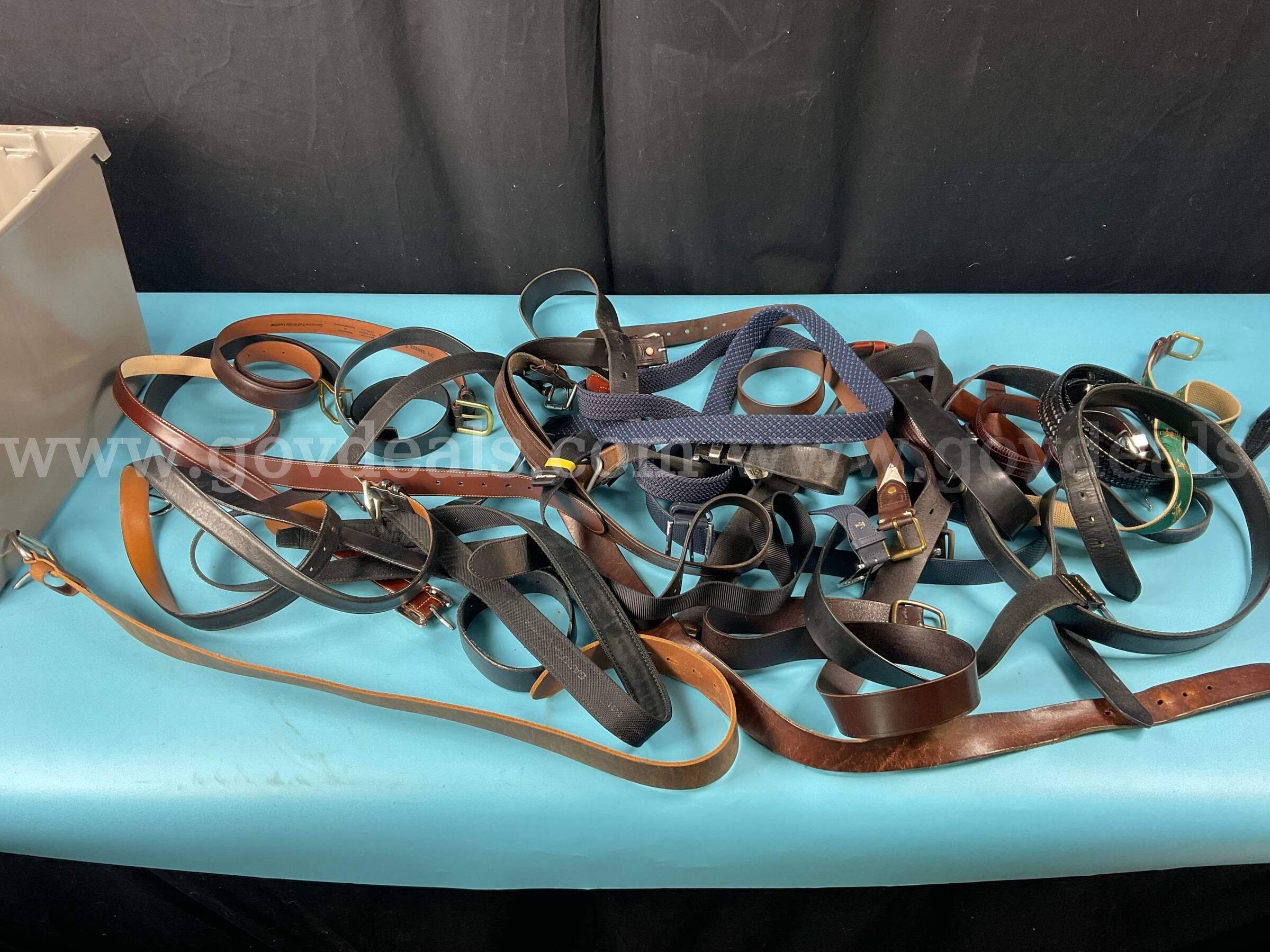 25 - Fashion Belts, Includes Polo Ralph Lauren, Bison and More