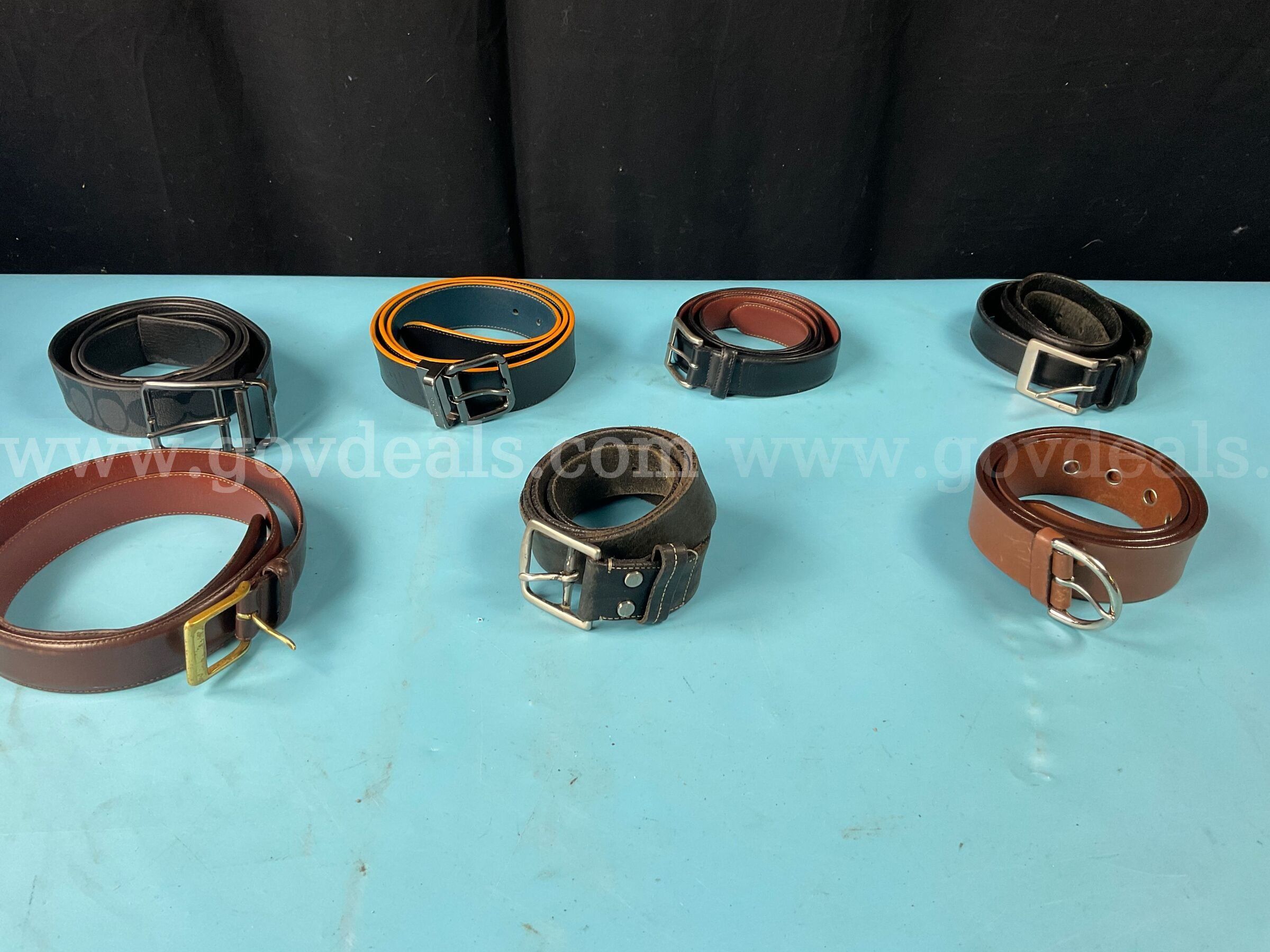 7 - Fashion Belts Labeled Coach