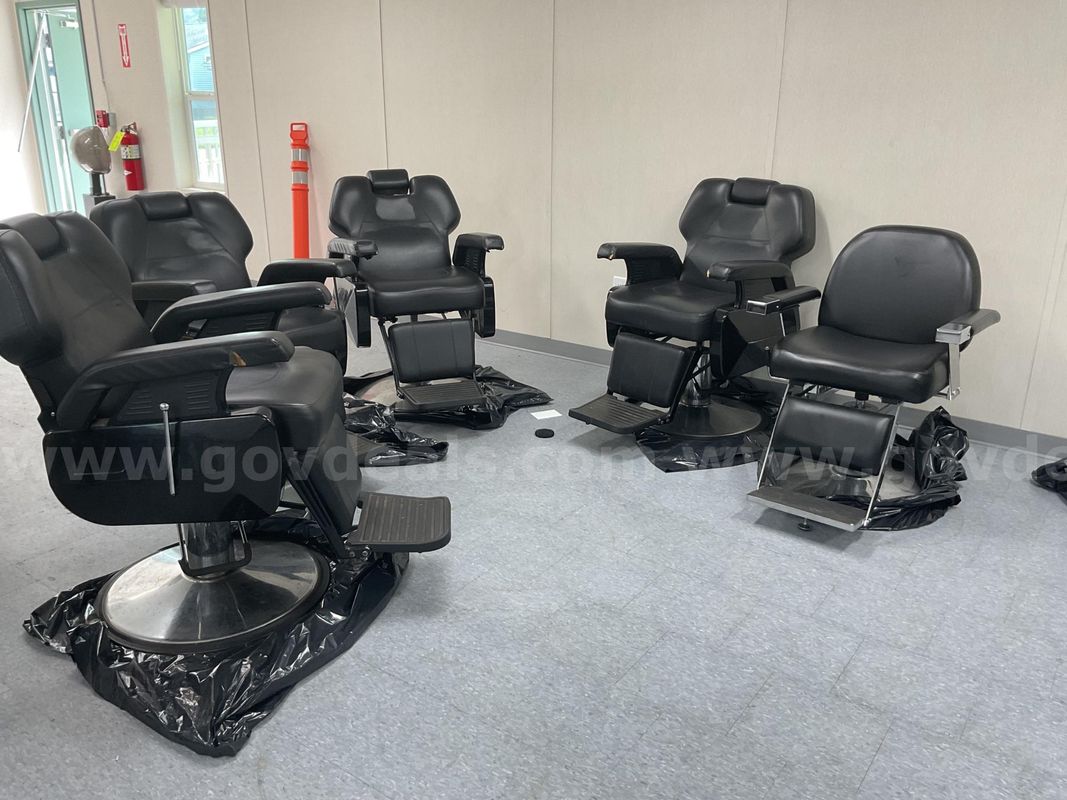 Professional Barber Chairs