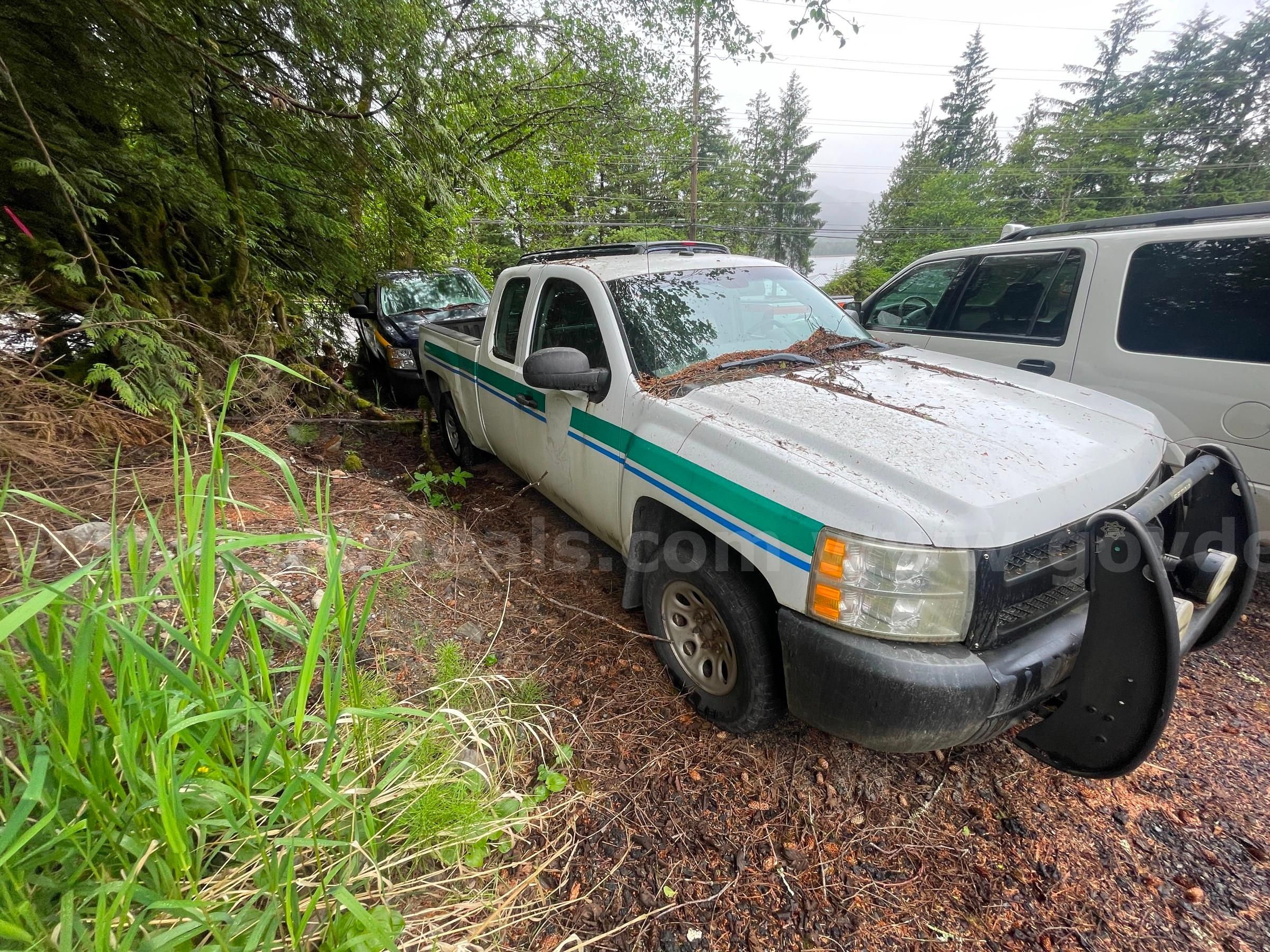 2010 Chevrolet Silverado 1500