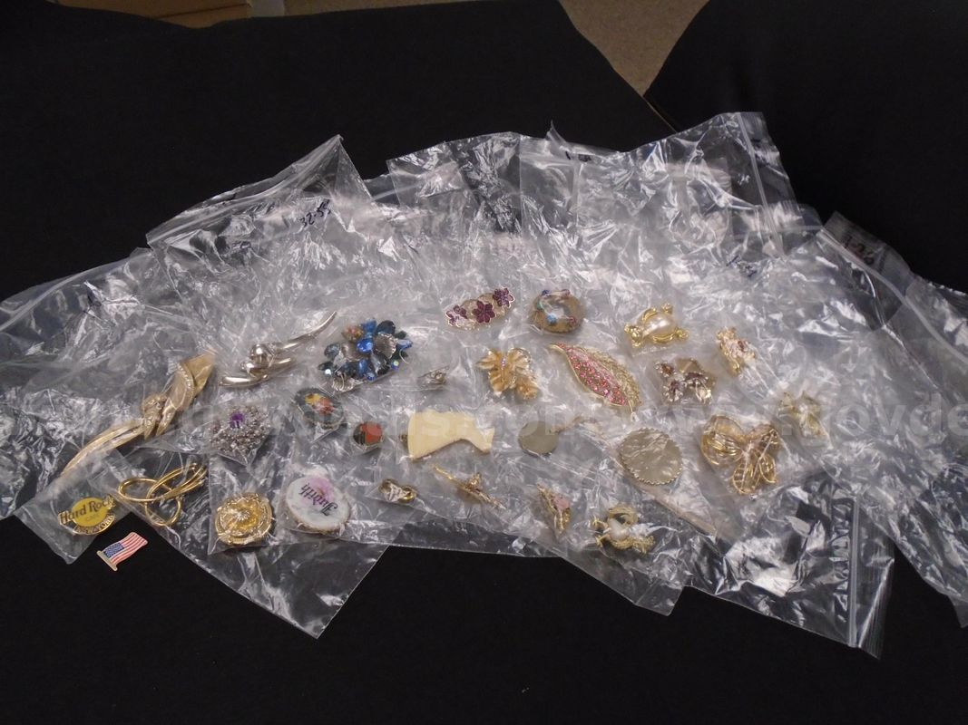 LAPEL PINS