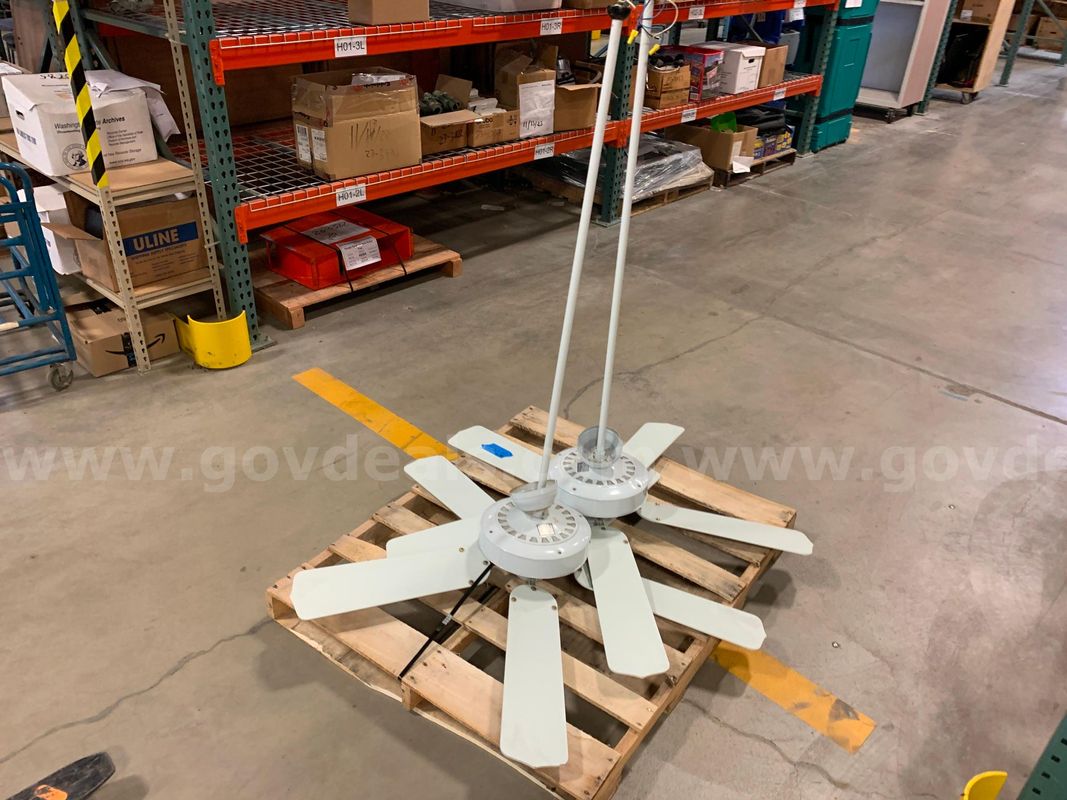 Pallet of Two Royal Pacific 52" Ceiling Fans  (ID #46260) (I1-6R) (26-1403-4) 84448