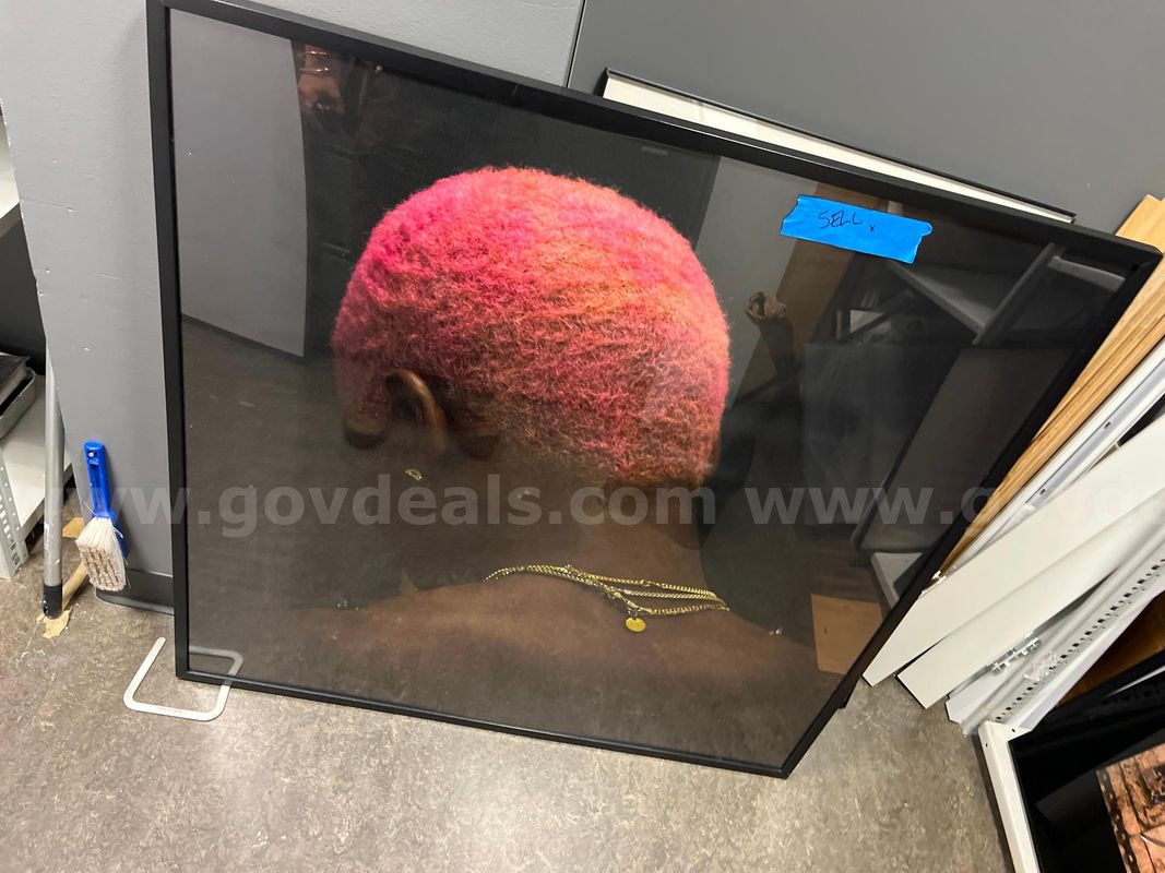 Framed Photo of Back of head