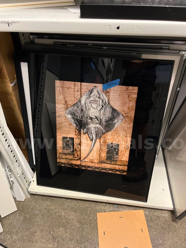Small framed Picture